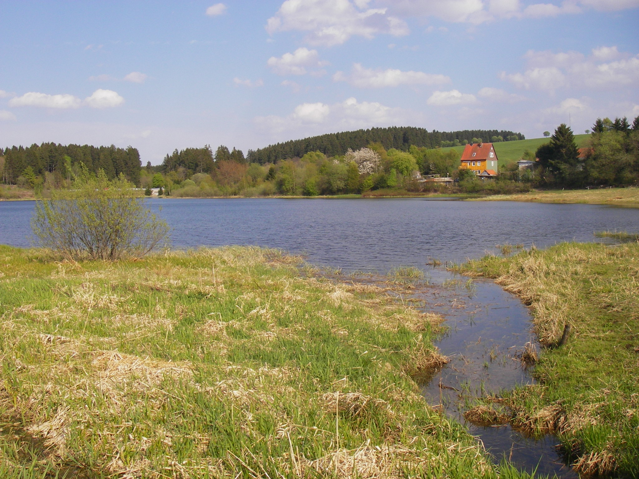 Stadtweger Teich